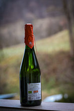 Učitajte sliku u preglednik galerije, Civitas Pecorino Brut