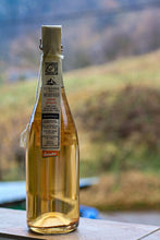Učitajte sliku u preglednik galerije, Ancestrale Pinot Grigio Spumante Lunaria