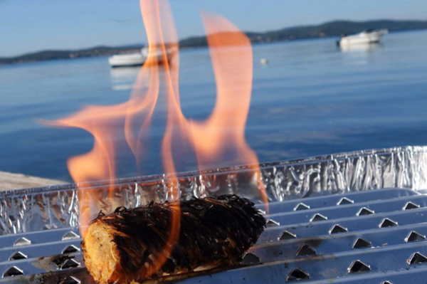 EKOLOŠKI STANDARDIZIRANI POTPALJIVAČI ZA GRILL