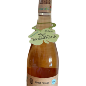 Vola Volé Seven Dots Pinot Grigio 9%